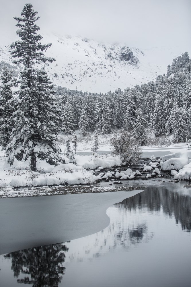 Снежное царство