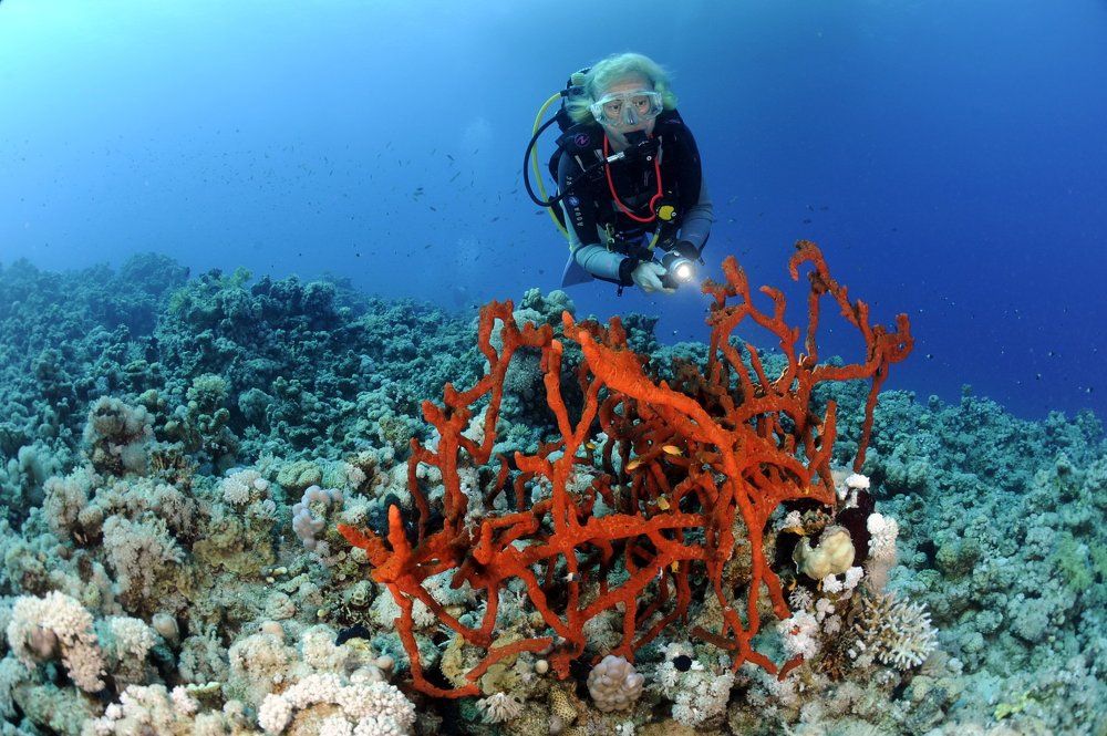 Подводная проволока
