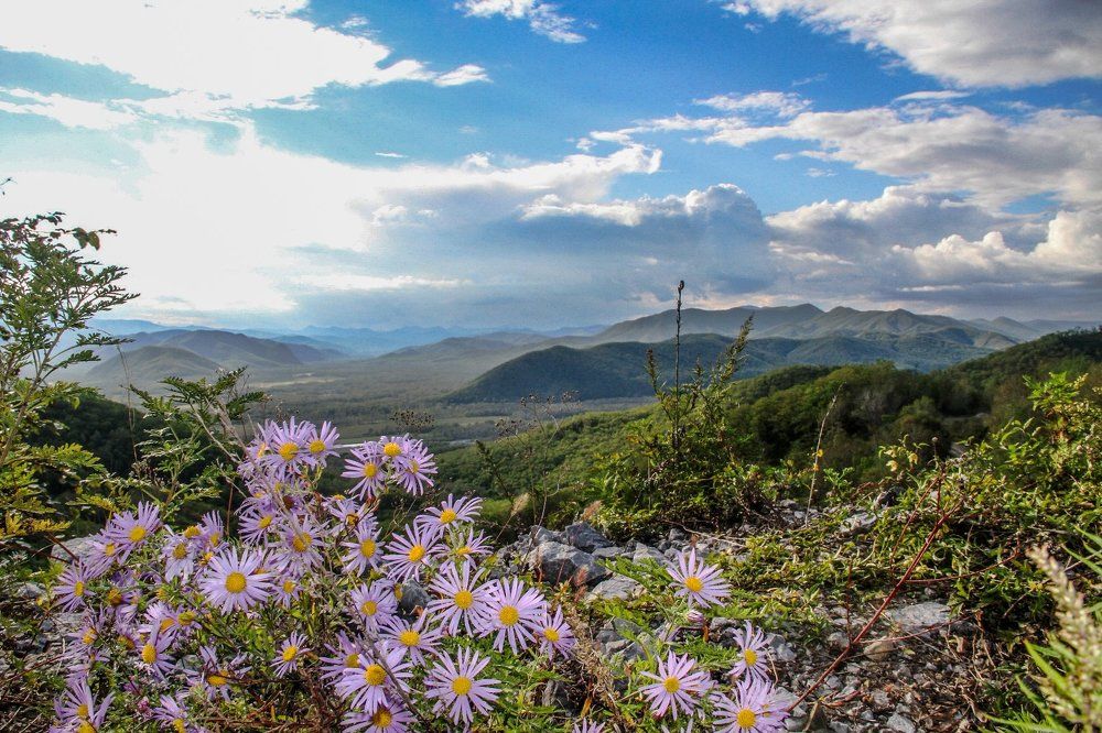 Photograph by Ирина Шубина