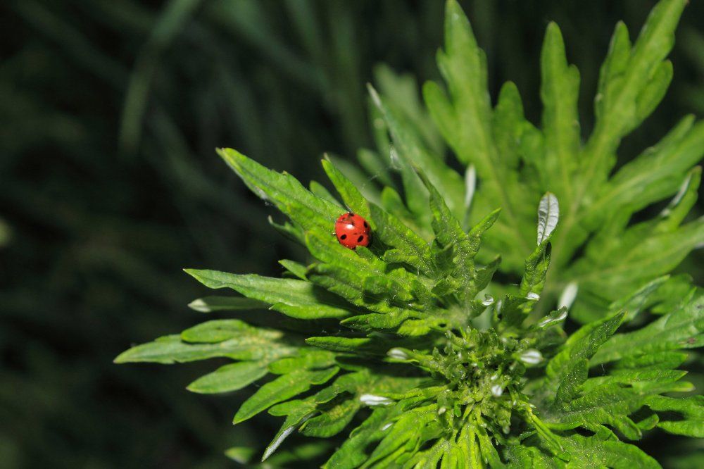 просто фото