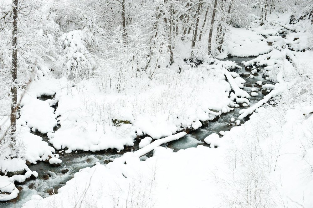 Photograph by Сергей Циркунов