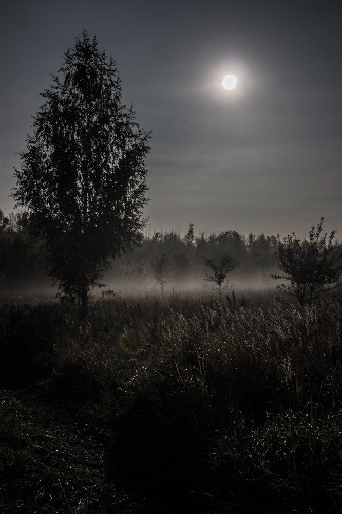 Туманные ночи