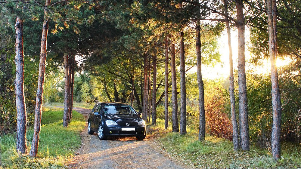 Природа северо-казахстанской области