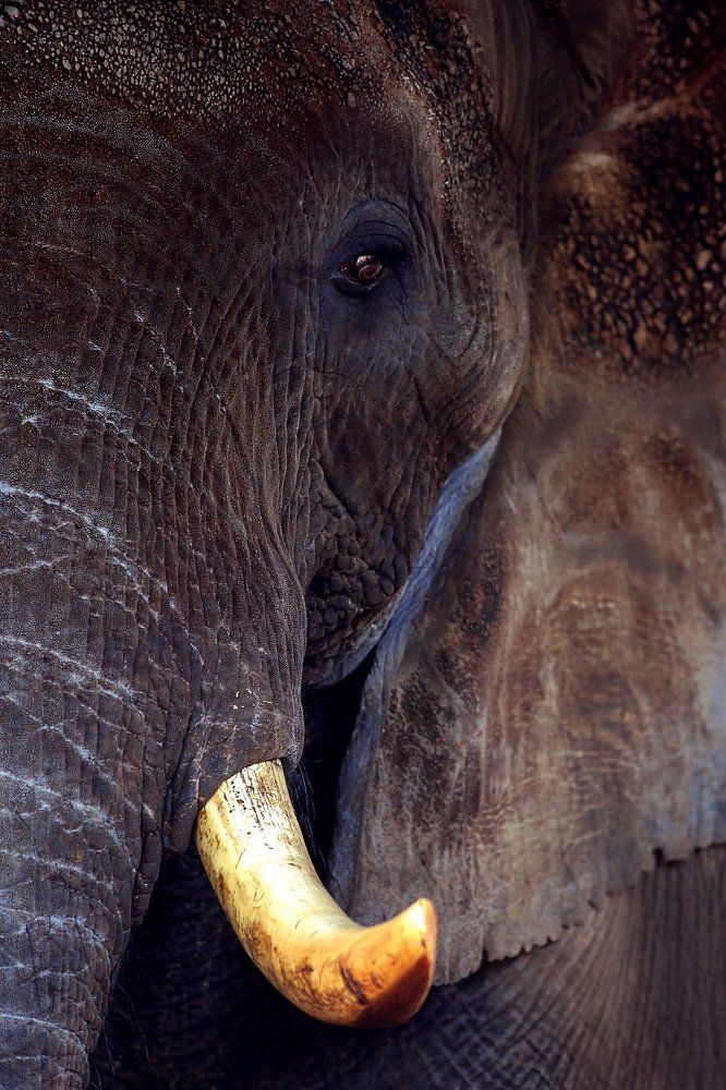 Photograph by Михаил