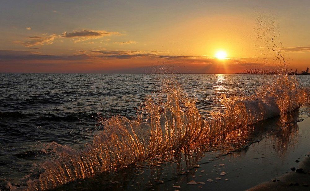 Бронзовые брызги заката