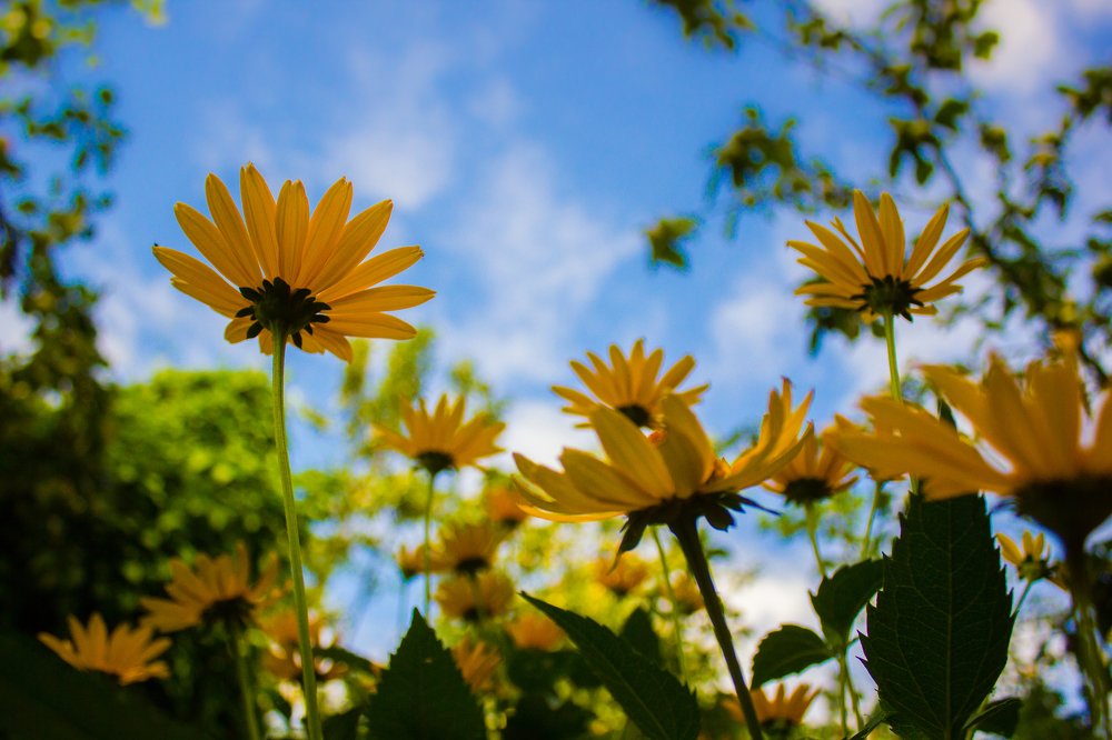 Смотри на небо