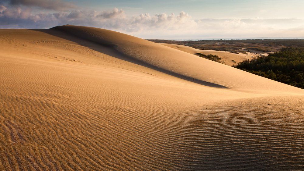 Дюны Куршской косы