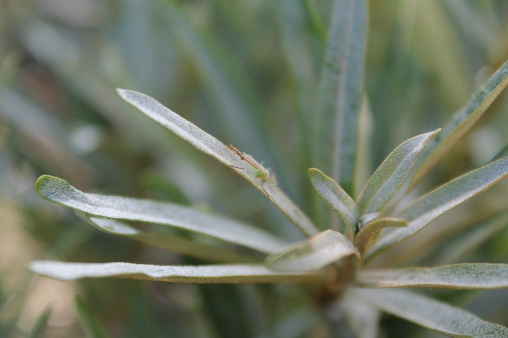 Photograph by Елена