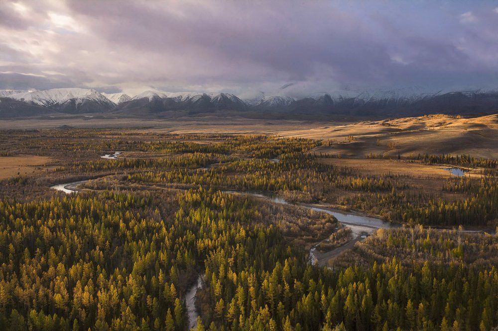 Рассвет в Курайской степи