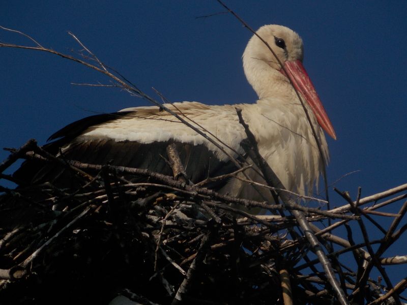 Оксана, Ukraine
