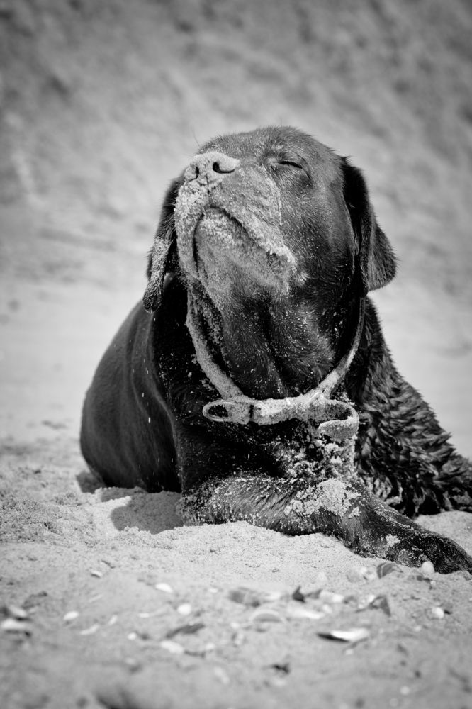 Photograph by Natalia Strelnik