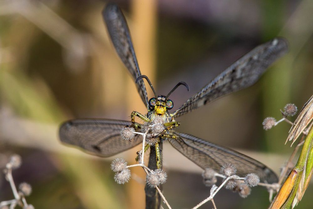 Удивительное рядом