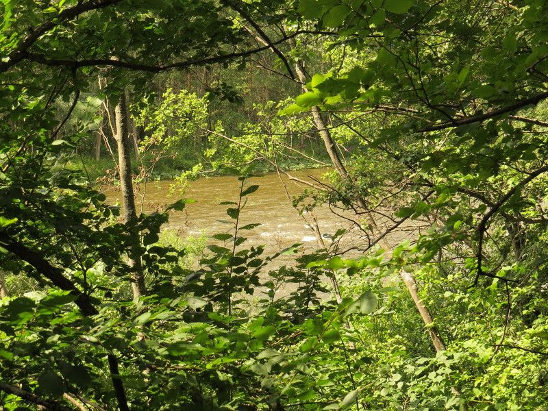 Ульянова Светлана Дмитриевна, Russia