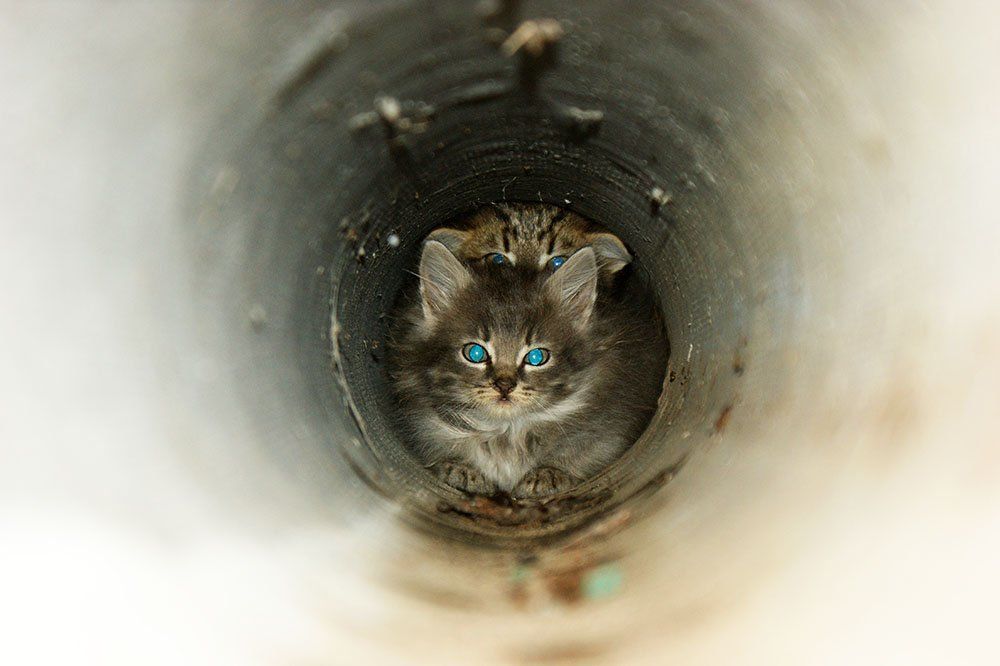 Photograph by sergey
