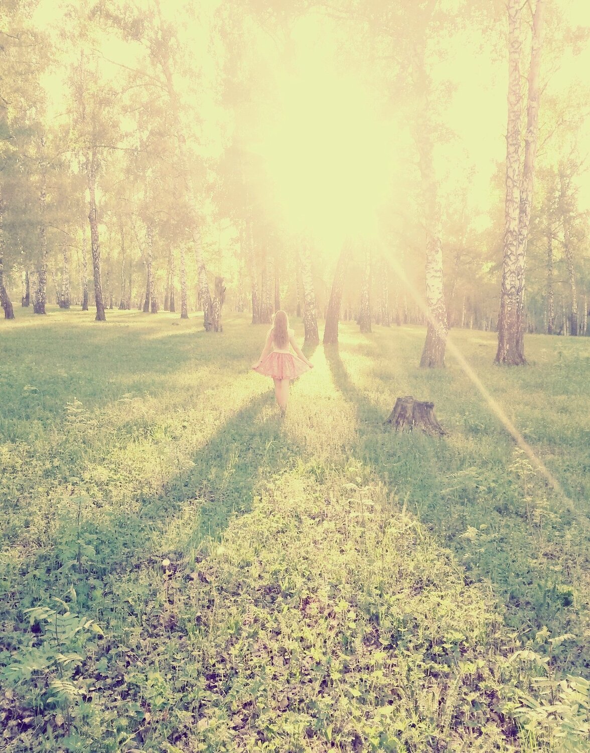 Photo #989913