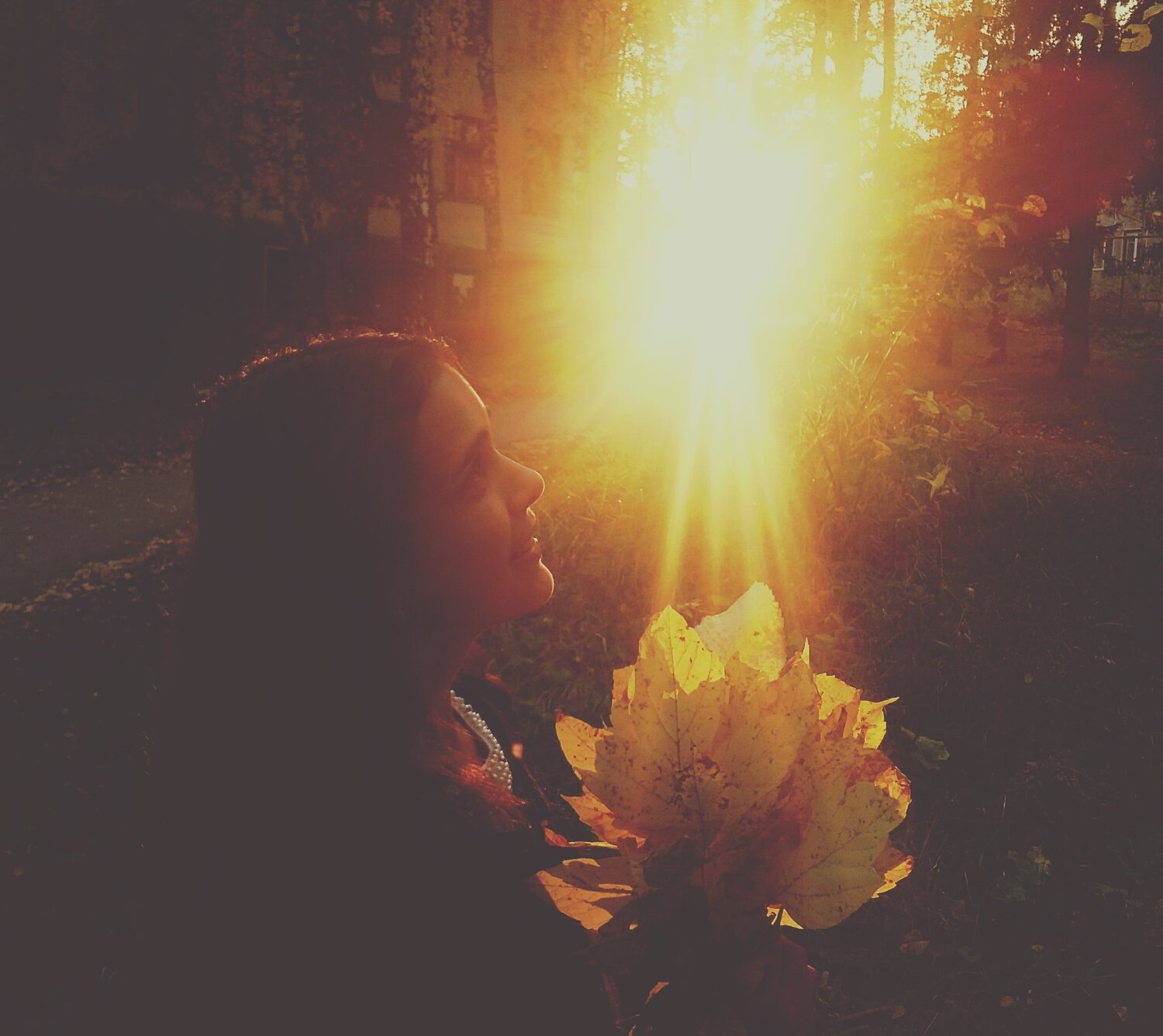 Фотография #989922