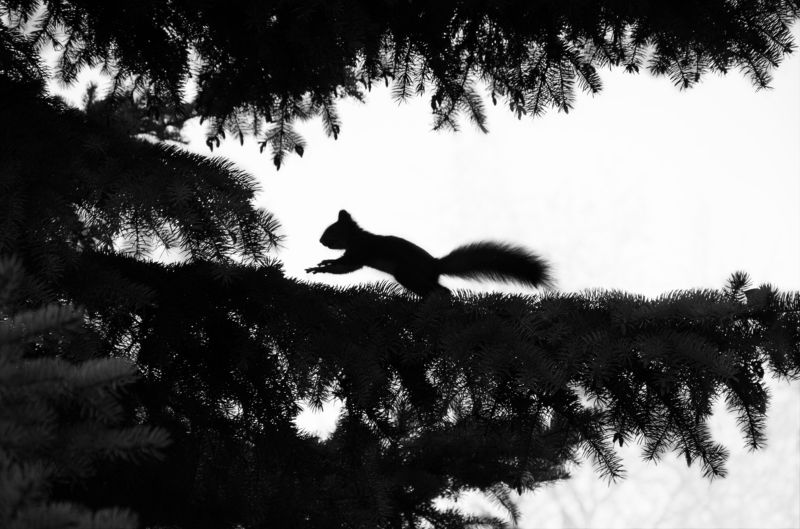 Виктория, Russia