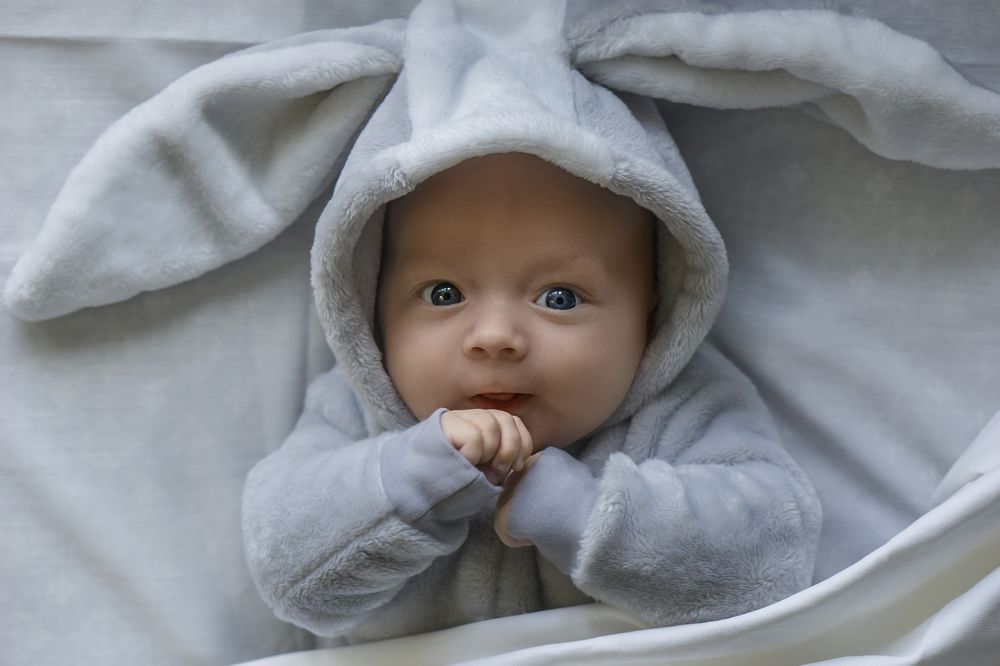 Фотография автора Елена Самофалова