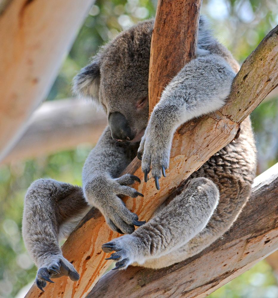 Photograph by Александр Каплан