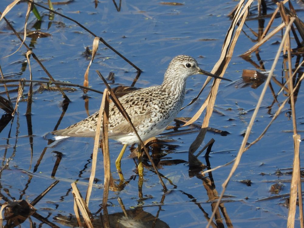 Photograph by Владимир Джерихов