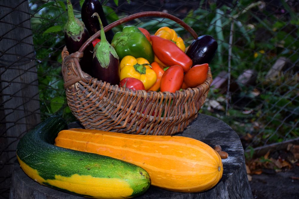 Photograph by  Татьяна Дорожко