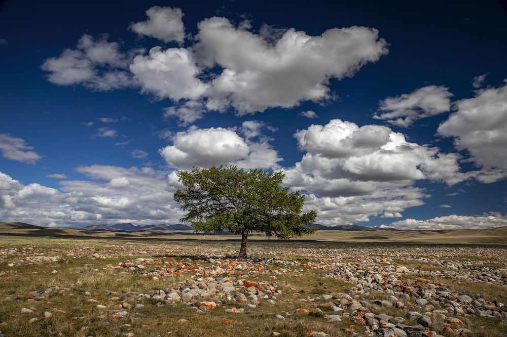 Photograph by Дмитрий Юдин