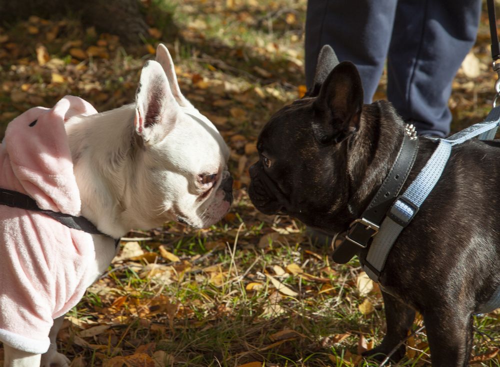 Photograph by Мария Кузьмина