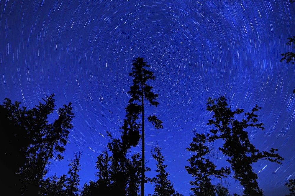 Звездные треки