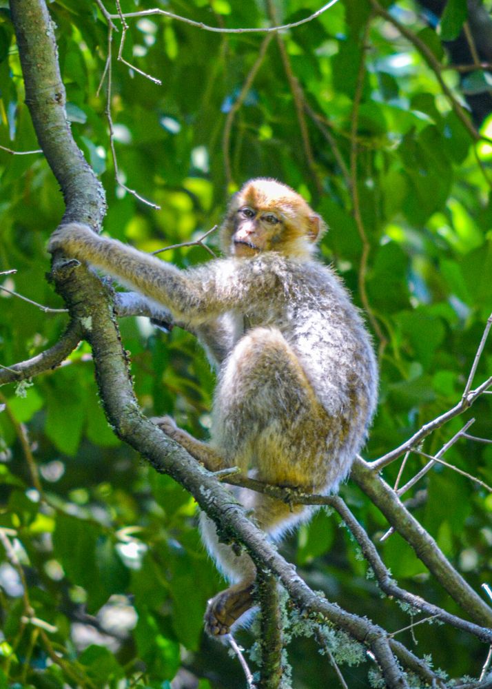 Photograph by Bachir Rabouh