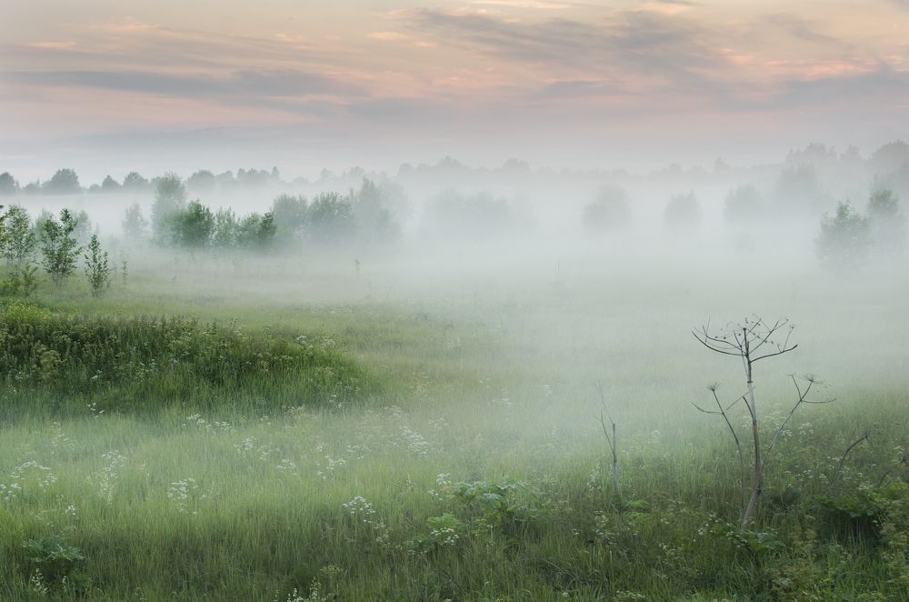 Photograph by Алексей Алешин