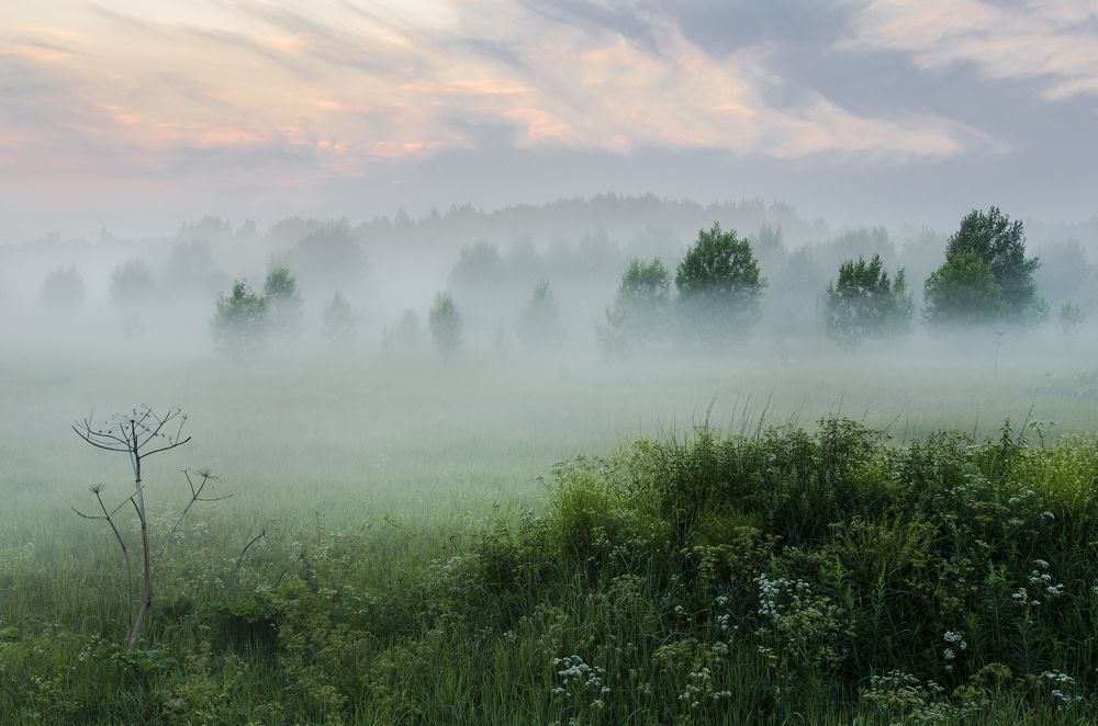 Photograph by Алексей Алешин