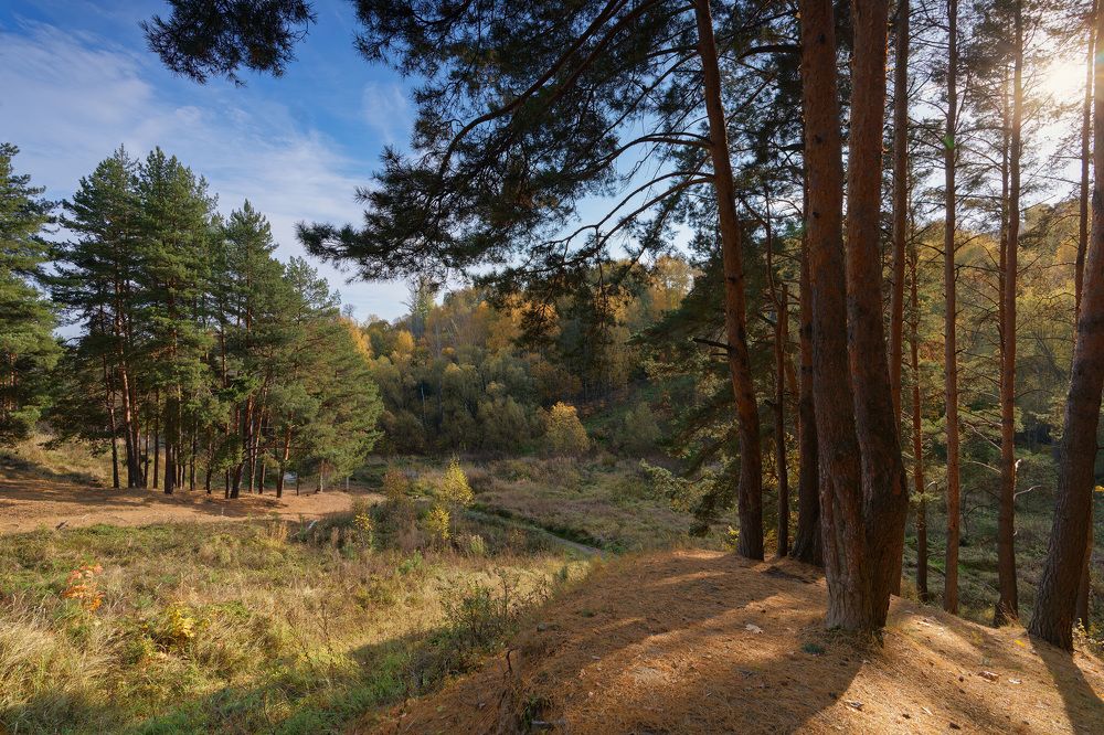 Photograph by Григорий Шалик