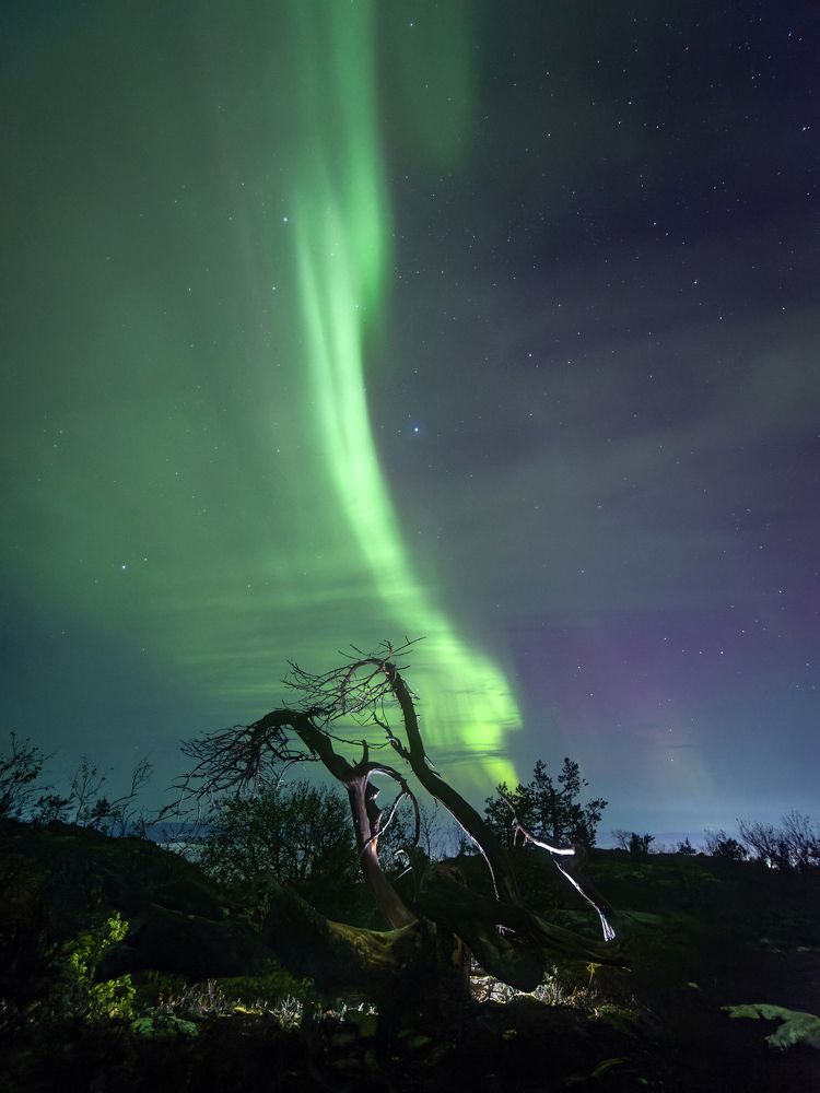 Фотография автора Дарина Соболь