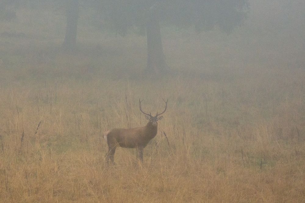 Photograph by Alin Bicas