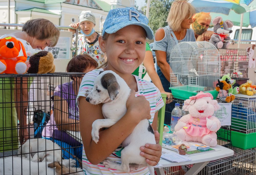 Фотография автора Алла Антонова