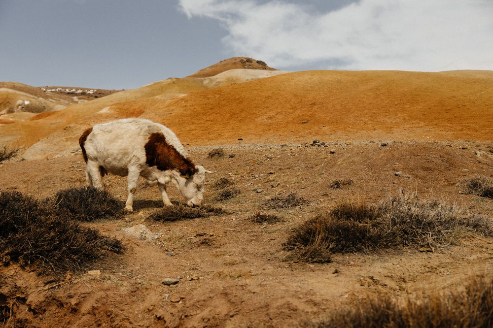 Photograph by Наталья Вострикова