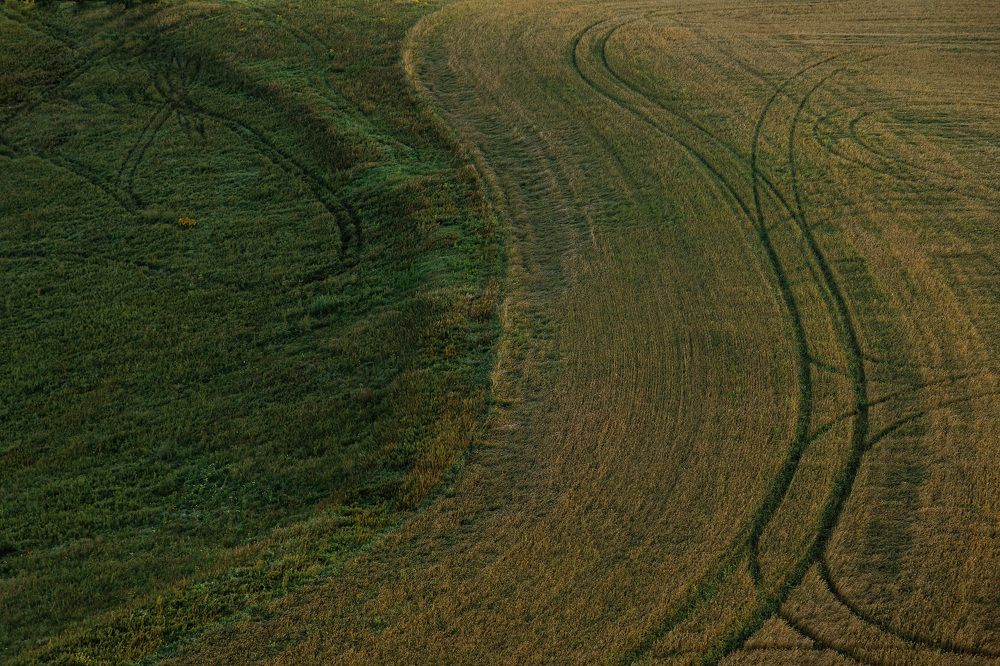 Photograph by Наталья Вострикова