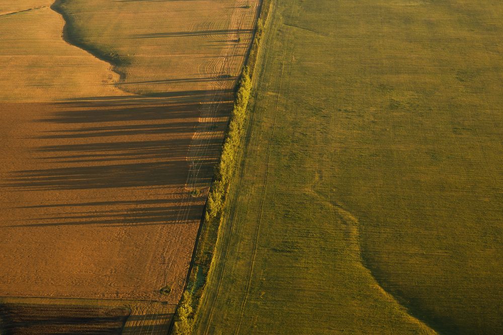 Photograph by Наталья Вострикова