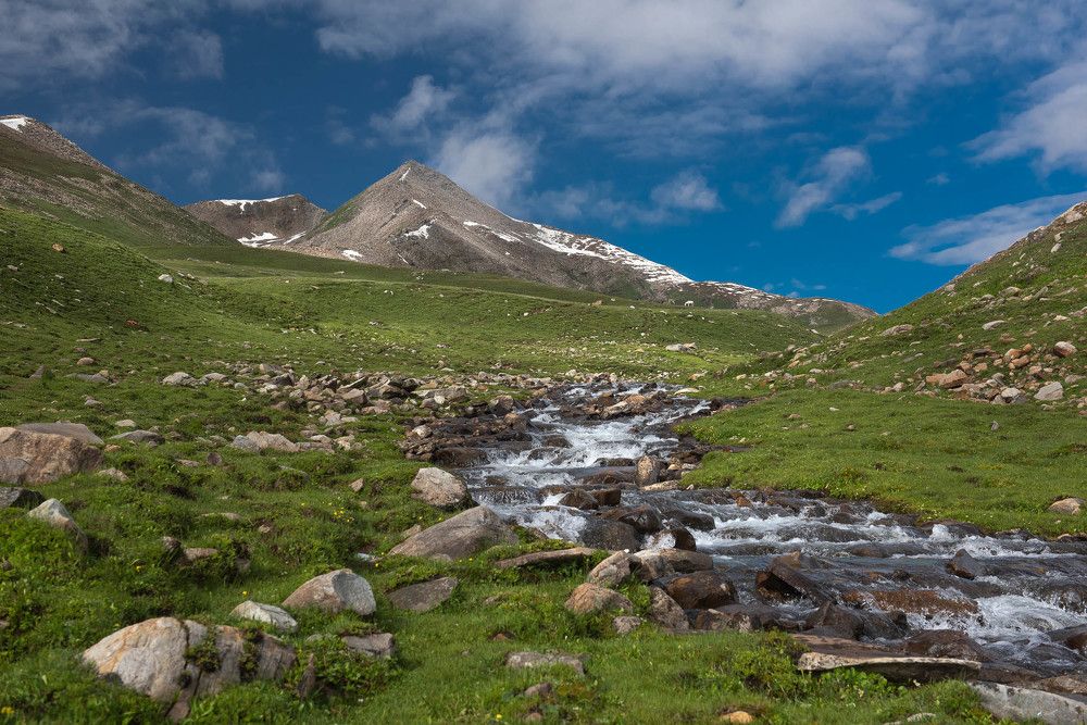 Photograph by Ahmad Bilal Cheema