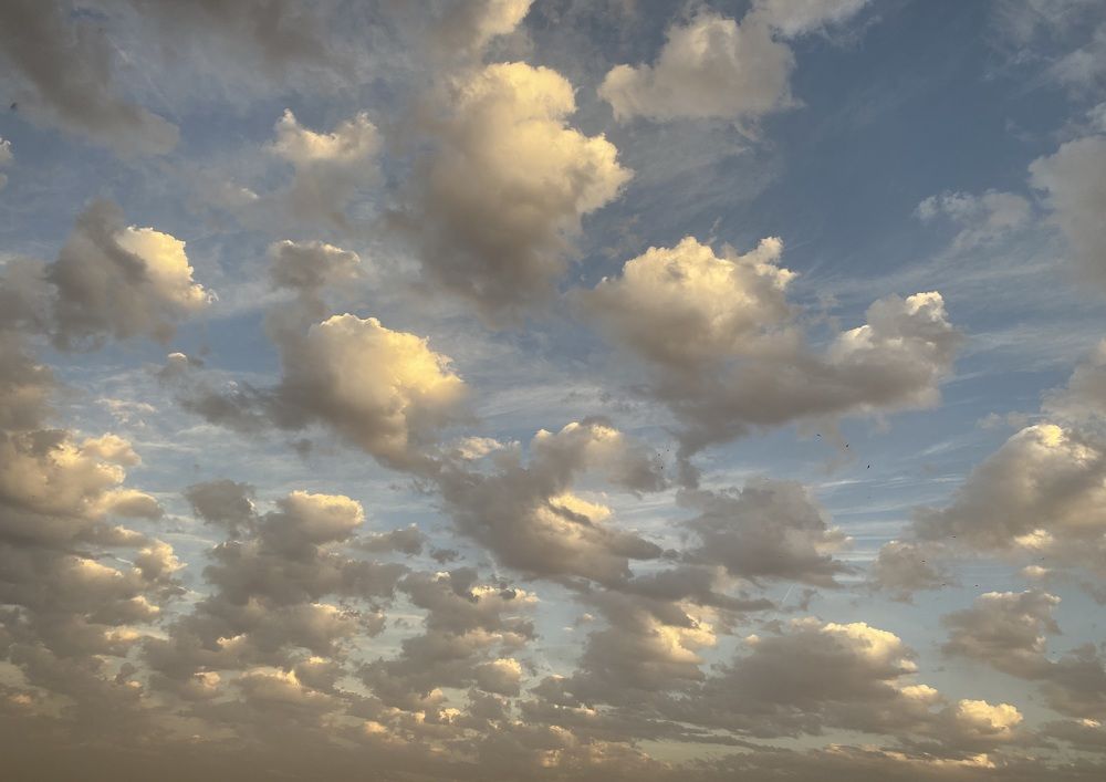 Фотография автора heba