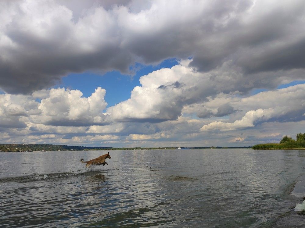 Photograph by Karina Yakovleva