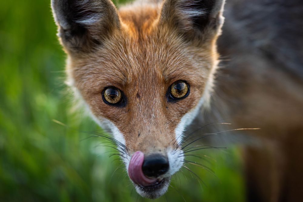 Photograph by Антон Лобачёв