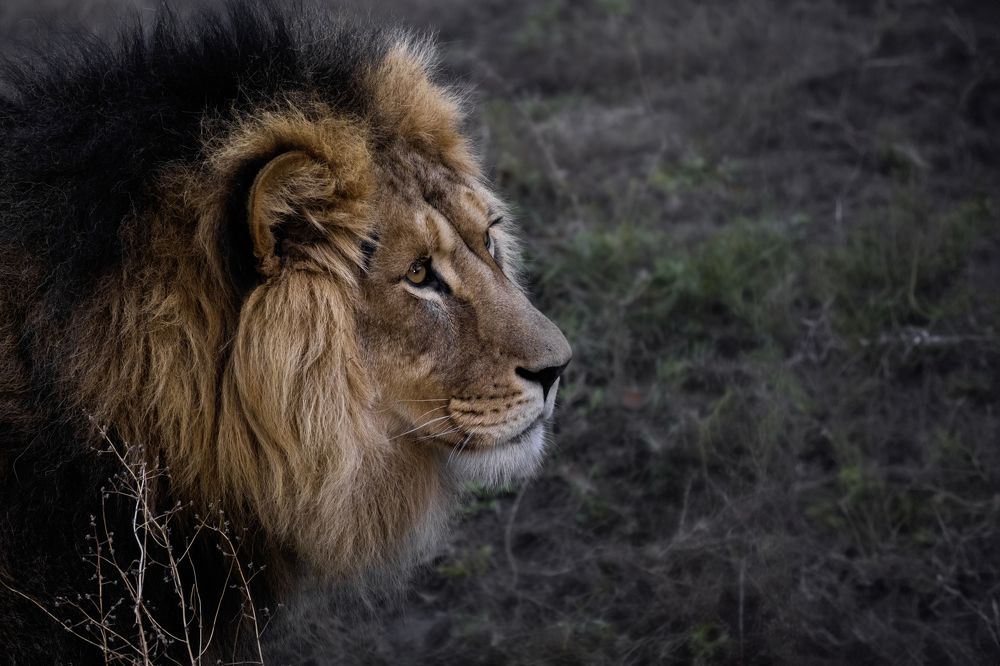 Photograph by Светлана Краюшкина