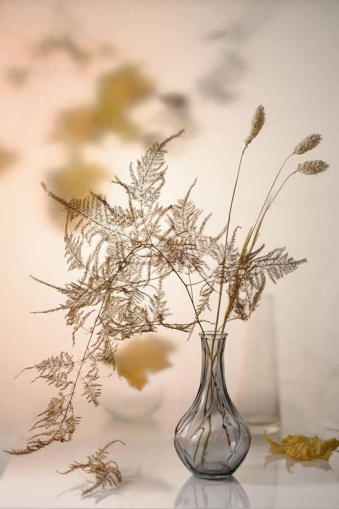 Photograph by Нуждин Андрей