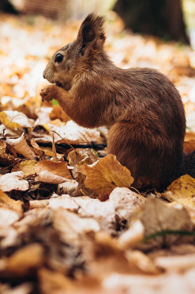 Photograph by Гузель Миникаева