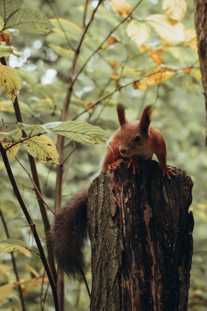 Photograph by Гузель Миникаева