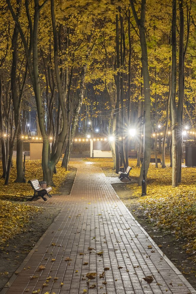 Photograph by Константин Чижов