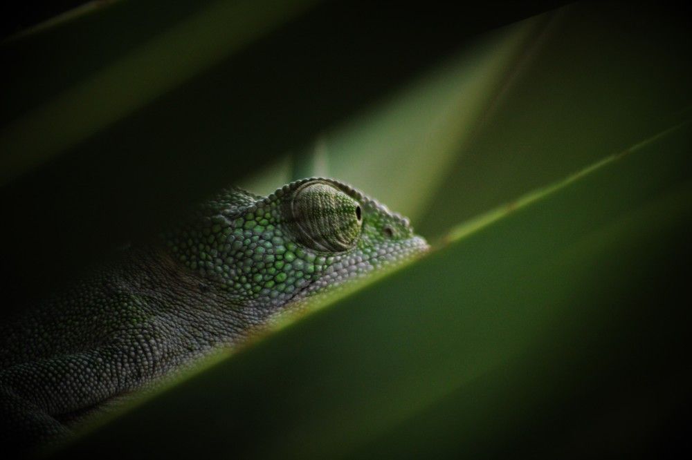 Photograph by Berk Karacin