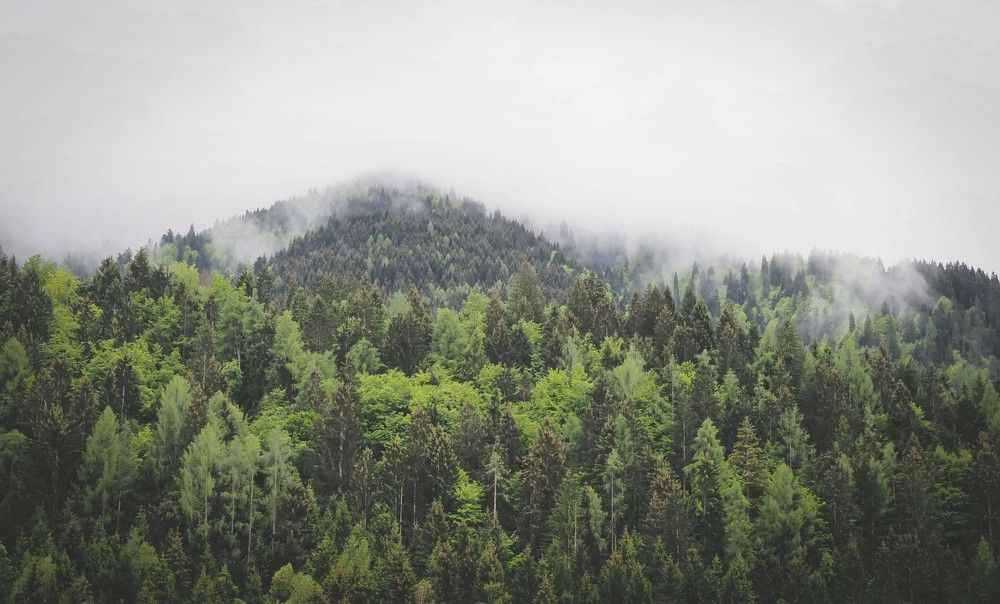 Julian Alps Shots Summer