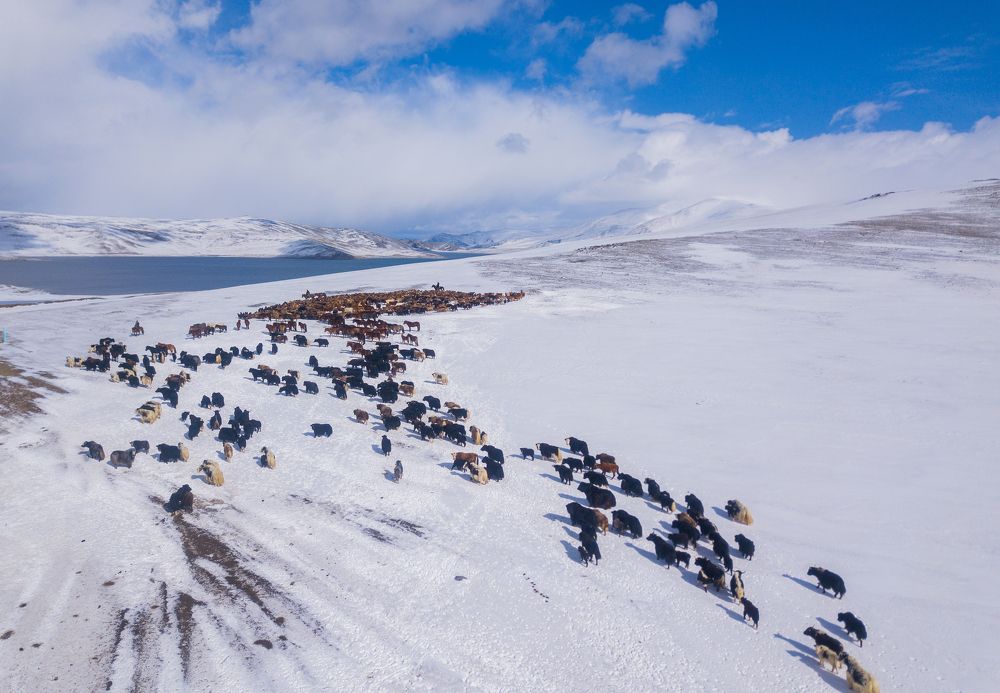 Photograph by Basan Baatarsuren